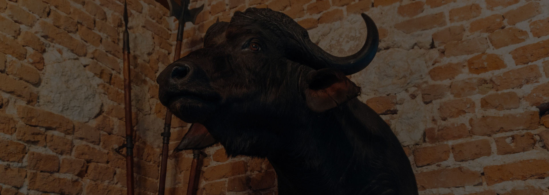 A black bull statue with horns on the wall.