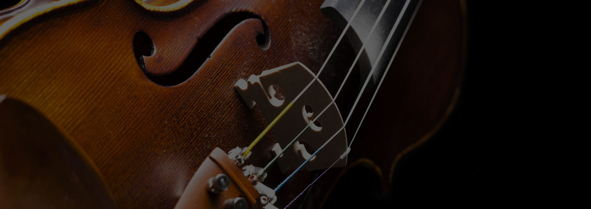 A close up of the strings on an instrument